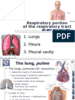 Lungs & Pleura PDF