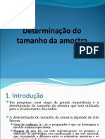 Determinação Do Tamanho Da Amostra Actual