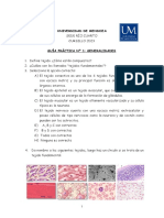 Guia Practica N°5 Tejidos