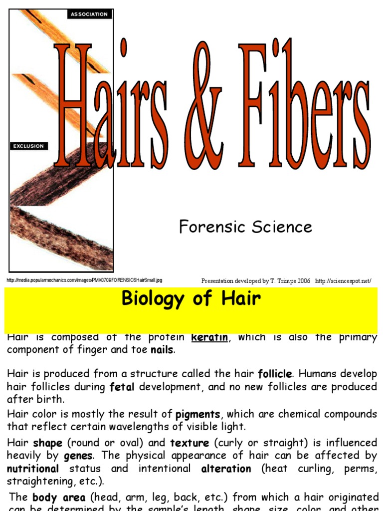 Hairs and Fibers PDF Textiles Hair