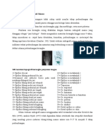 Usia Biologis Dan Radiografi Manu1