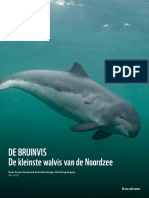 Rapportage Bruinvis Internationale Noordzeedag V8 PDF