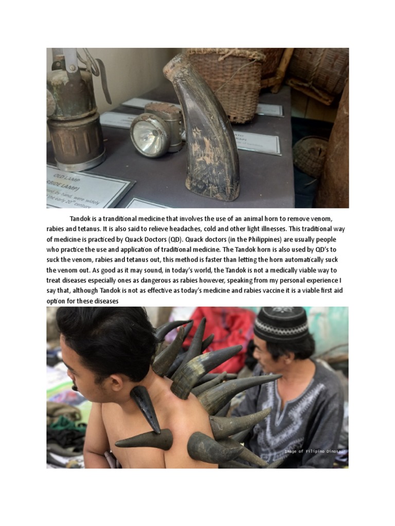 Tandok: Traditional Medicine Insights | PDF