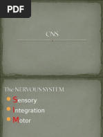 NCM 101 CNS