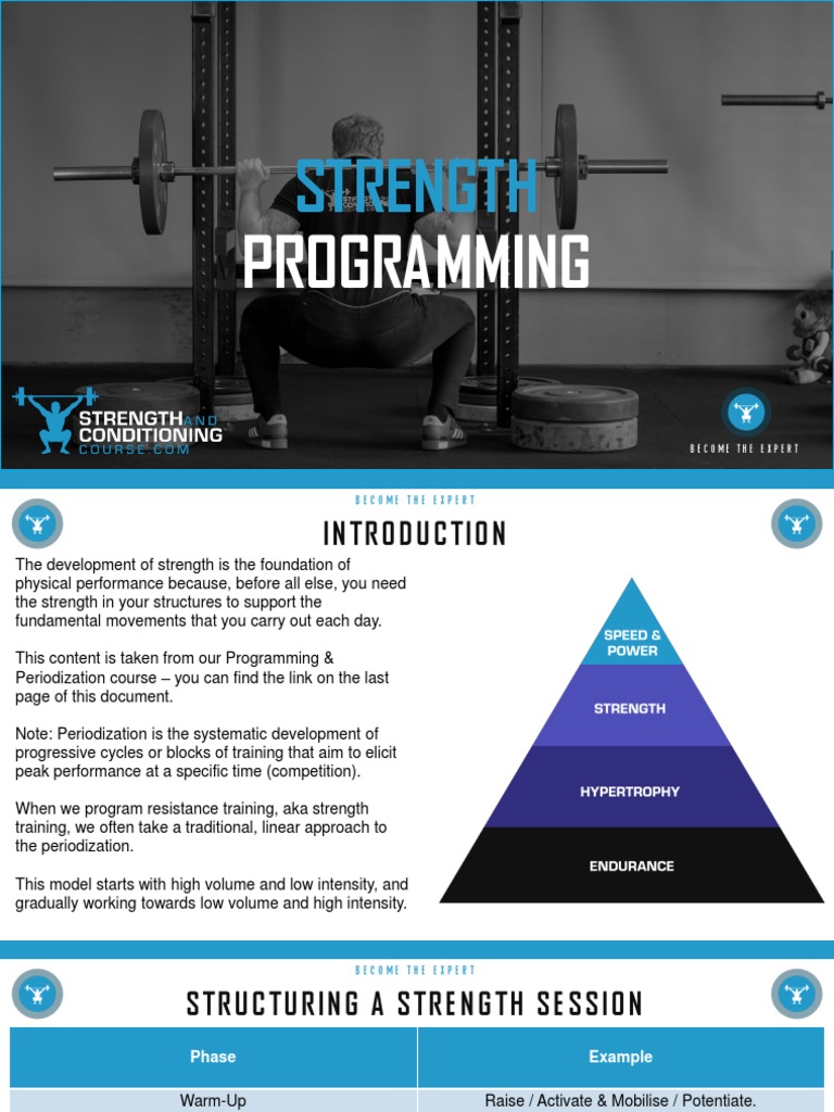 Gym Programming Pdf Pdf Weight Training Muscle Hypertrophy