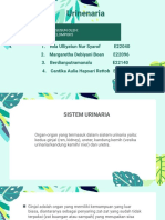 PPT URINARIA KELOMPOK 5.pptx