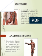 Anatomía: estructura y relaciones de los órganos humanos