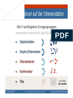 Intensiv Pilze