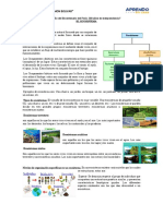 El Ecosistema PDF