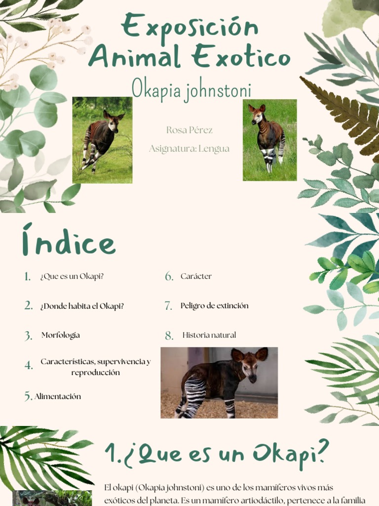 Exposicion Okapi Animal Exotico by Danna Laverde | PDF | Hogar ...