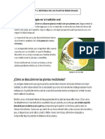 PDF n1 Laura