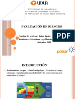 PRERSENTACION EVALUACION RIESGOS