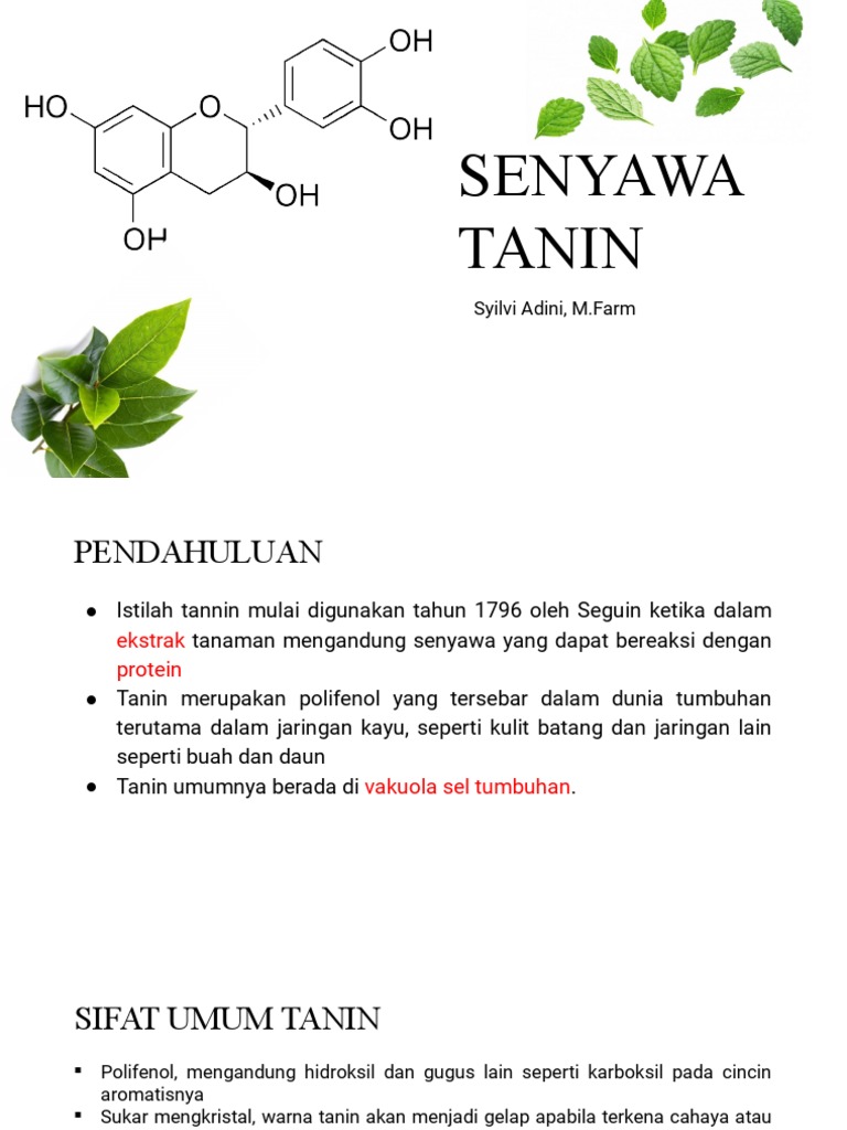 Sifat dan Fungsi Senyawa Tanin | PDF | Memasak, Makanan, & Anggur ...