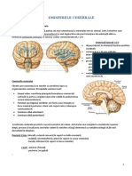 15.emisferele Cerebrale