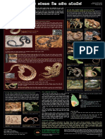 Venomous Land Snakes of Sri Lanka - Lowres PDF