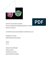 Ensayo de La Importancia de Los Polimeros y Cerámicos en La Computación PDF