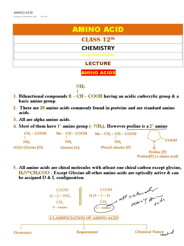 Amino Acids PDF | PDF | Amino Acid | Acid