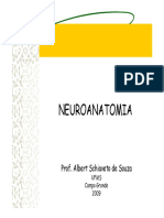 Fisiologia Sistema Nervoso PDF