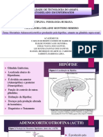 Hormônios hipofisários e adrenais: ACTH, cortisol, adrenalina e suas funções