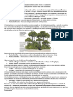 Interação Entre Os Seres Vivos E O Ambiente A Interação Entre Os Seres Vivos Num Ecossistema Luz