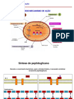 5e6 - Aula - Antibioticos e Resistencia Bacteriana