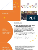 Becas PDF