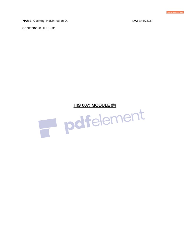 HIS 007 - Module 4 | PDF