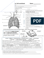 Respiratory Worksheet2019.pdf