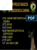 Comandos Caninos