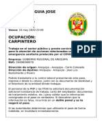 Pase Laboral Dexhy3lwp A07 PDF