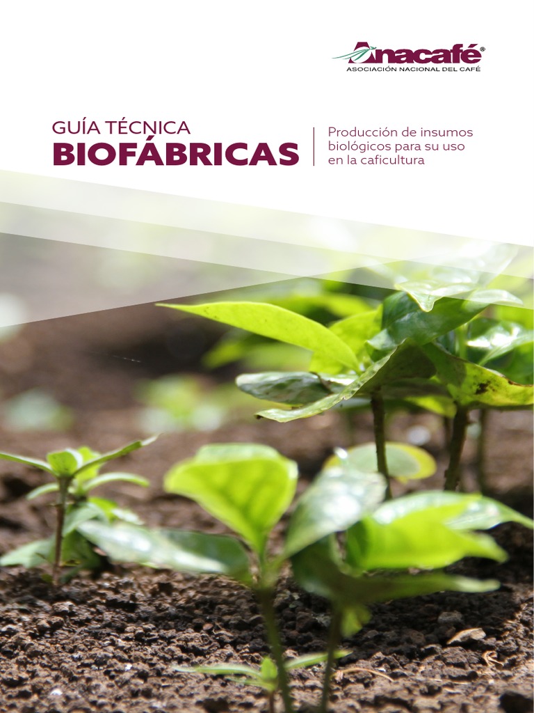 Guia Biofabrica Anacafe 2022 PDF | PDF | Compost | Agua