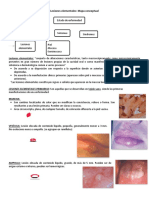 2 Lesiones-Elementales