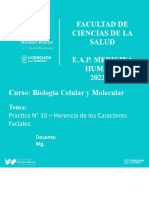 Practica #10 - Herencia de Los Caracteres Faciales