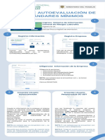 Instructivo Reporte Autoevaluación de Estándares Mínimos