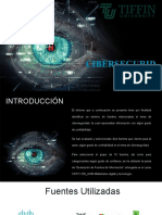 Ciberseguridad KarmyAlfredo Borrador