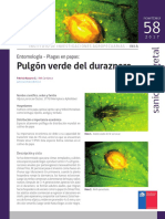 NR42106 PDF