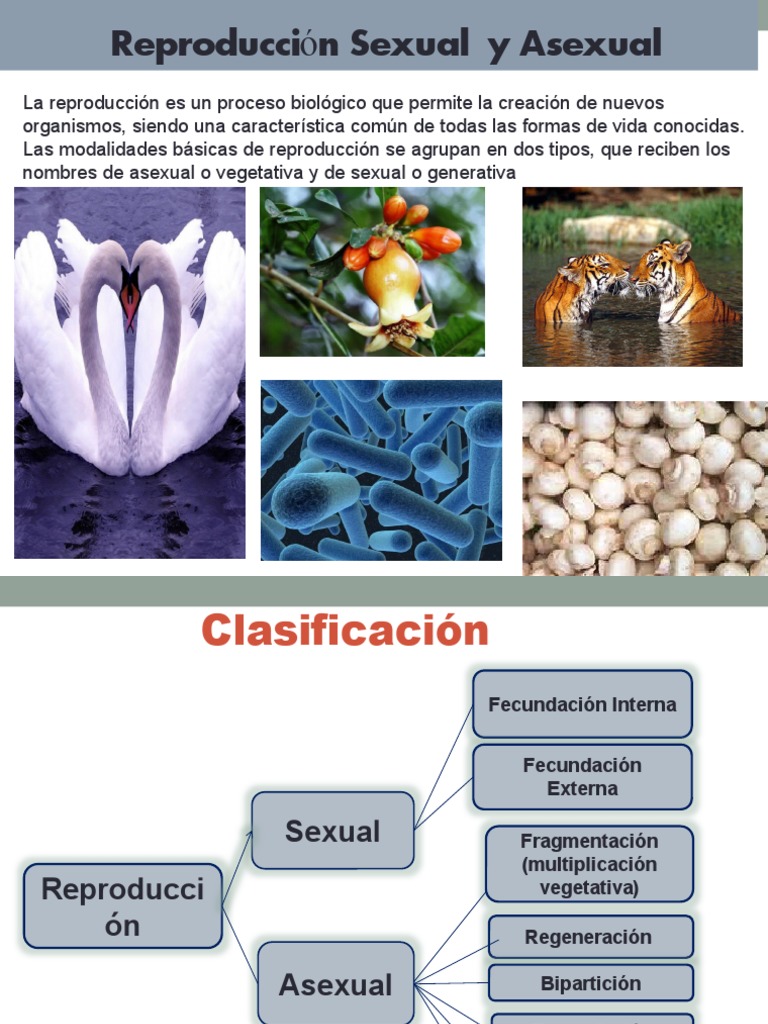 Reproducción Sexual y Asexual Explicada | PDF | Clonación | Sexo
