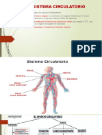 Sistema Circulatorio