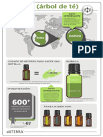 Infographic Tea Tree PDF