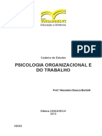 Psicologia Organizacional e Do Trabalho - 2013 PDF