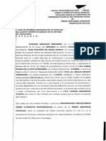 01-Providencias Precautorias PDF