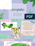 Cloroplasto