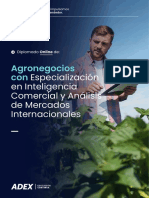 Diplomado Agronegocios PDF