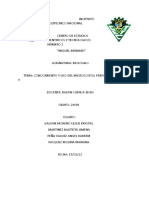 Documento 6 PDF