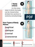 [General Biology 2] PPT_Anatomical Planes.pdf