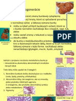 Dystrofie II. - Revajová PDF