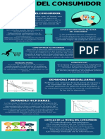 Infografia Del Consumidor