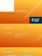 Hyperbiotické Procesy: Prof. Mvdr. Robert Herich, PHD
