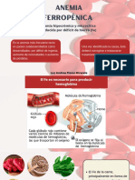 Anemia Ferropénica: Anemia Hipocrómica y Microcítica Producida Por Déficit de Hierro (Fe)