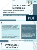 Vgi - 2 PDF